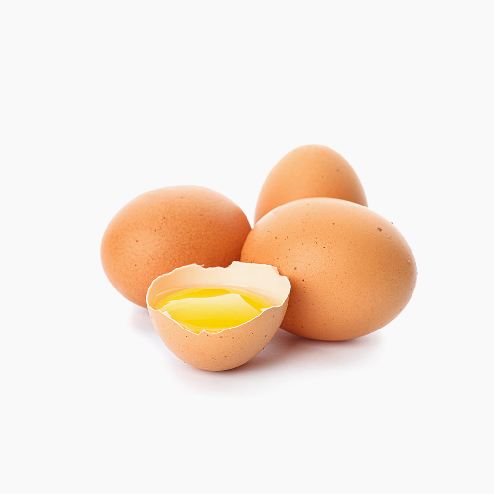 [맛있는 명품란] 특란 계란 10구 600g